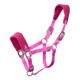INT1013ROM-ROSA-1