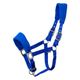 INT1013ARM-AZUL ROYAL-1