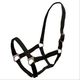 INT1006PTGR-PRETO-1
