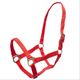 INT1006VMXP-VERMELHO-1