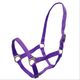 INT1006RXXP-ROXO-1