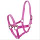 INT1006ROXP-ROSA-1